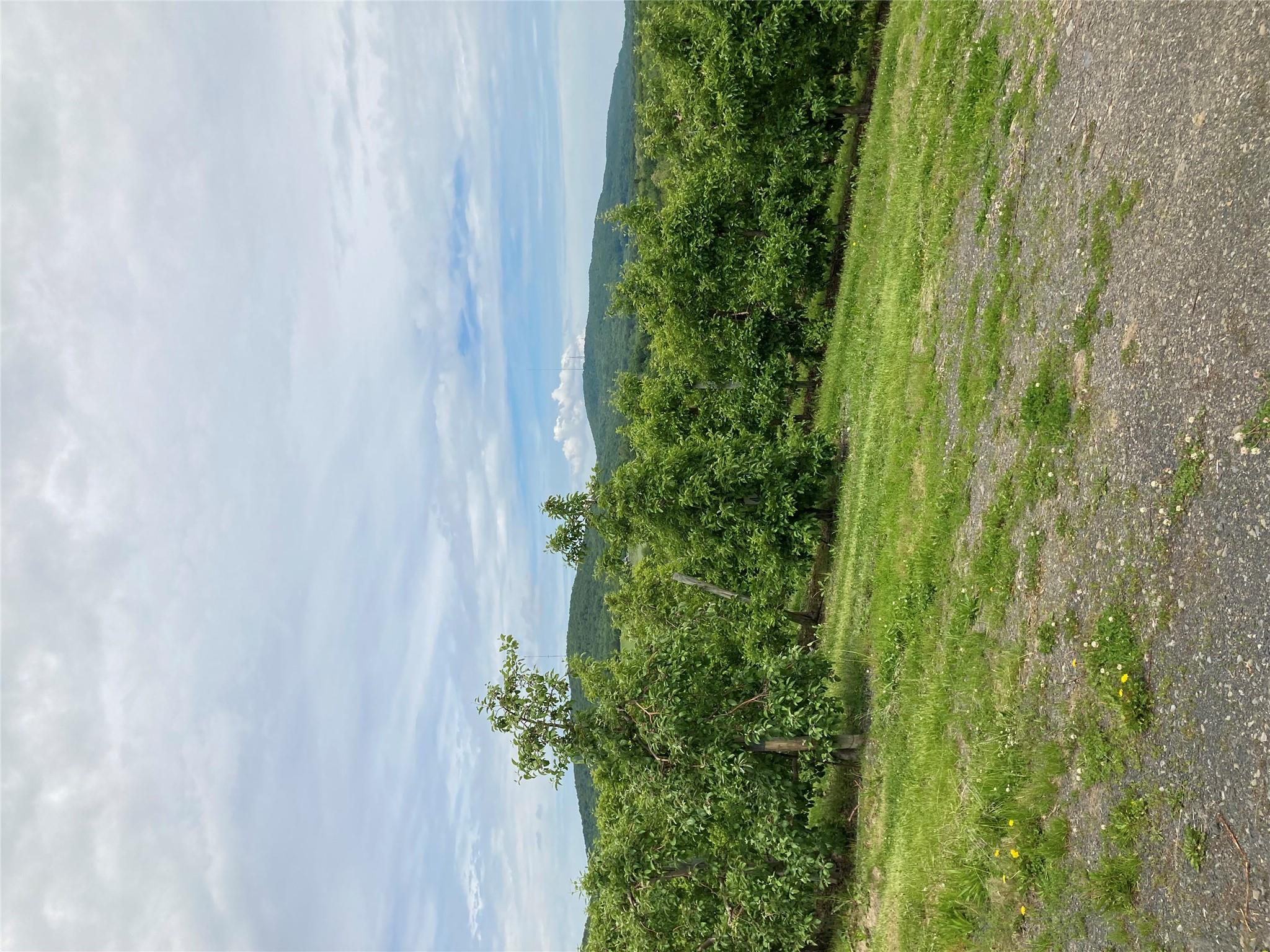 73 Peach Lane, Marlboro, New York image 20