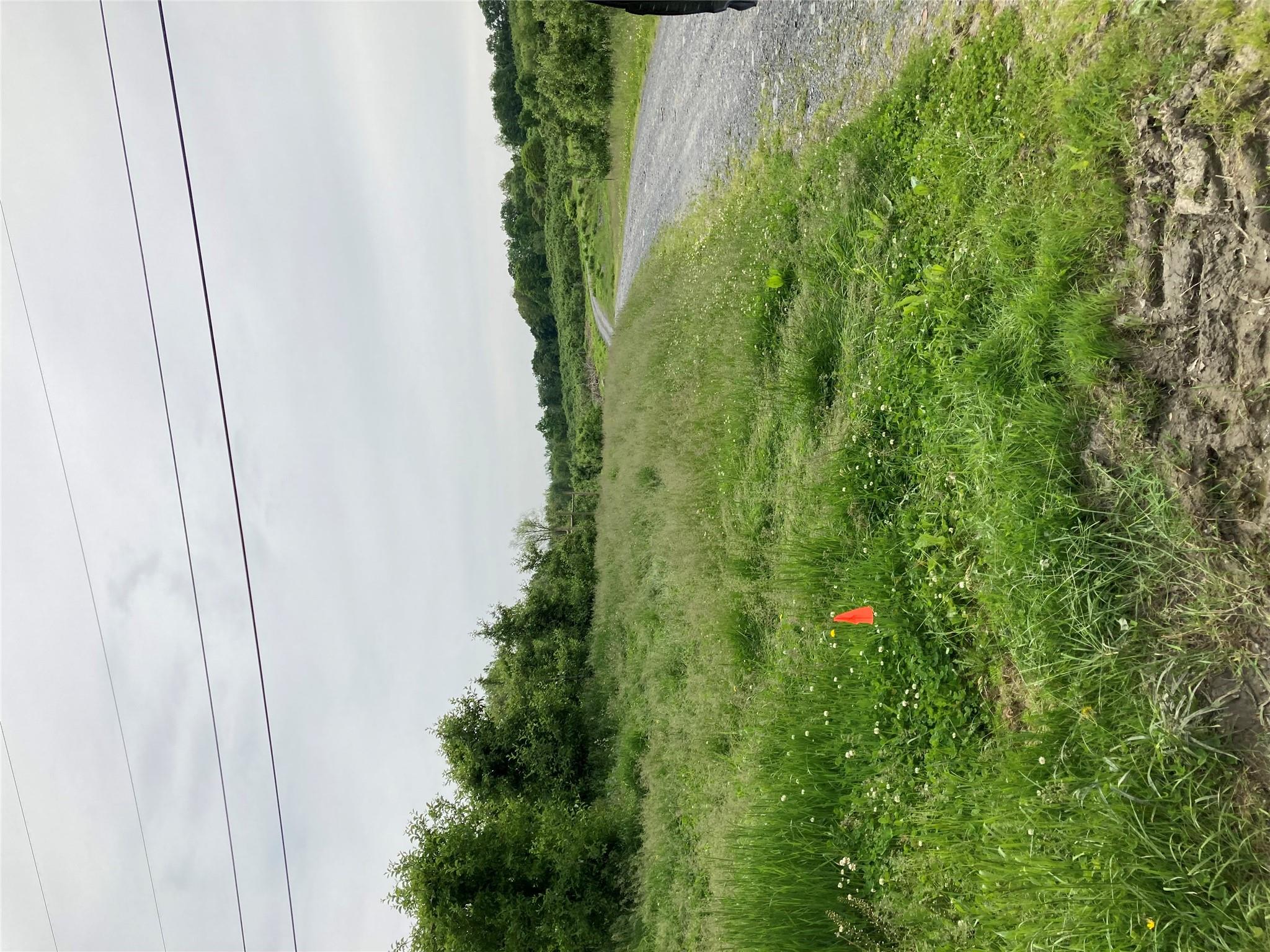 73 Peach Lane, Marlboro, New York image 6