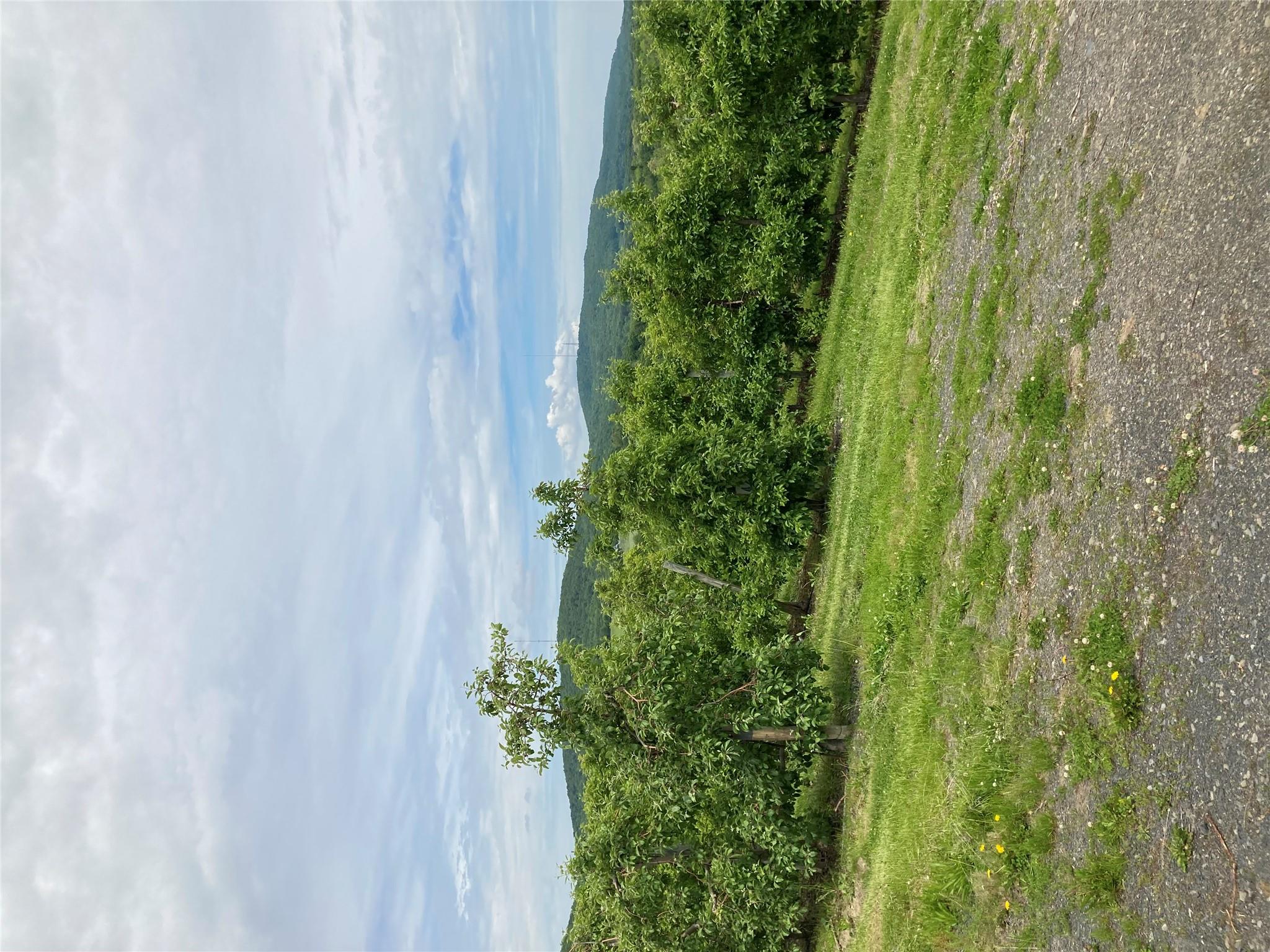 73 Peach Lane, Marlboro, New York image 22
