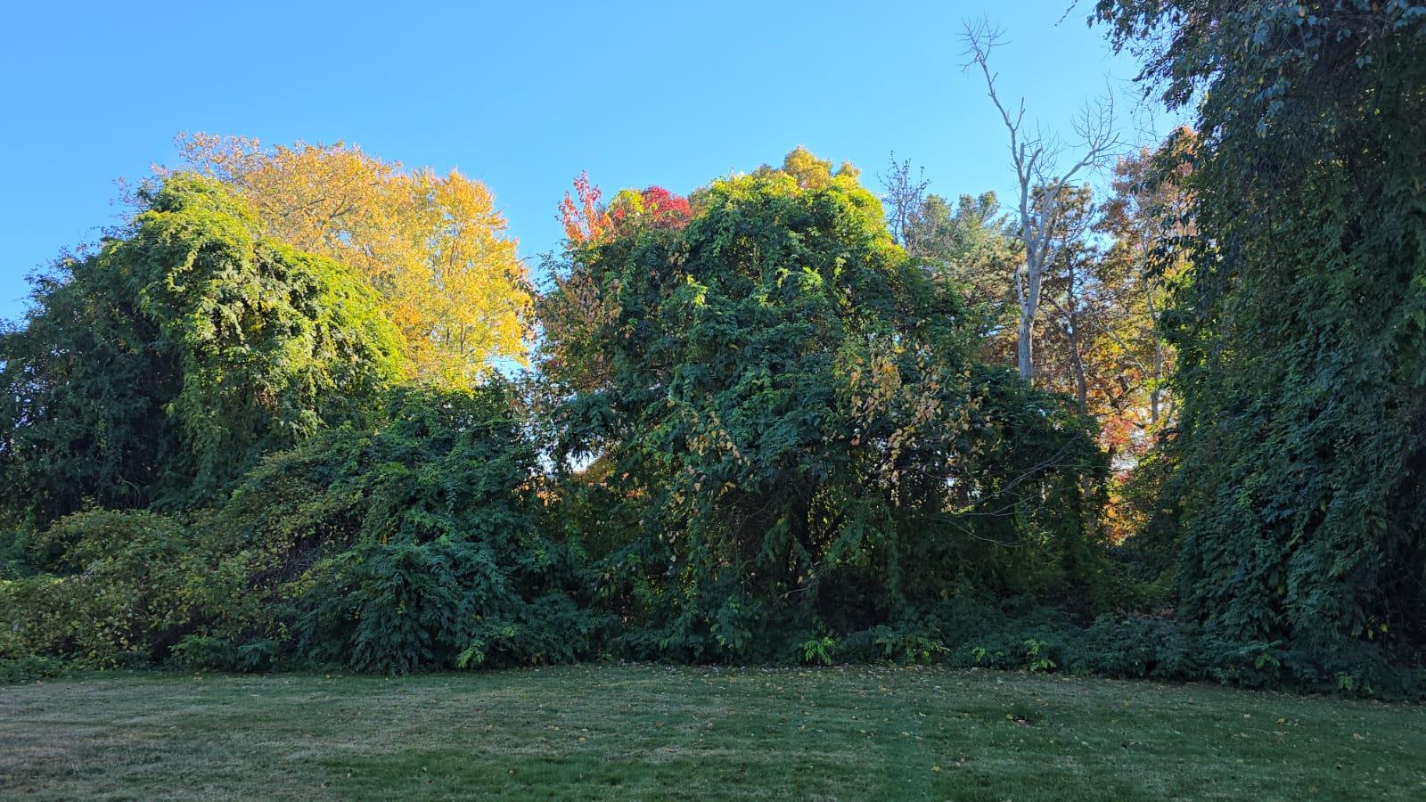 62 Pinebrook Place #62, Bay Shore, New York image 23