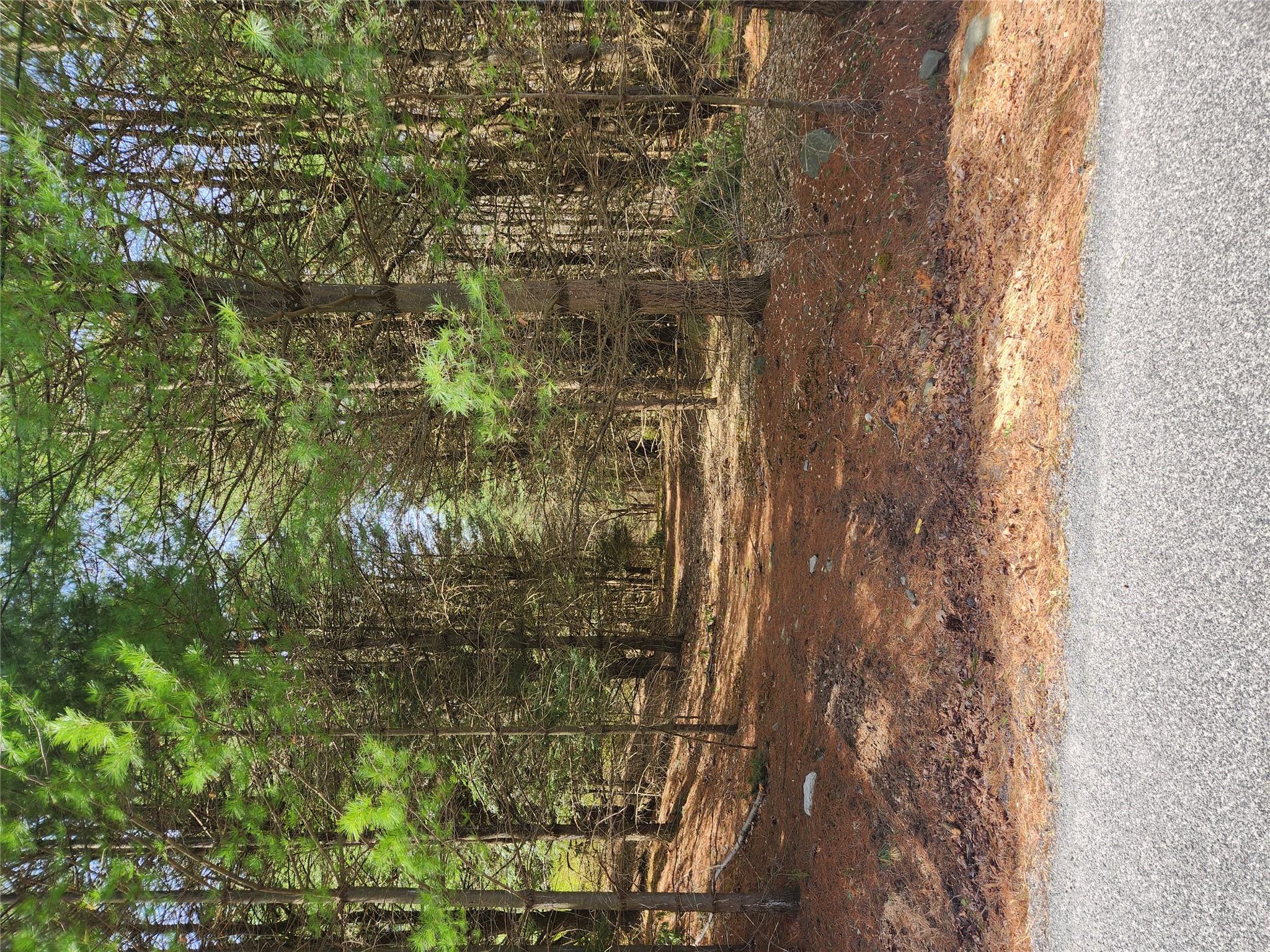 4th Circle, Rock Hill, New York image 1