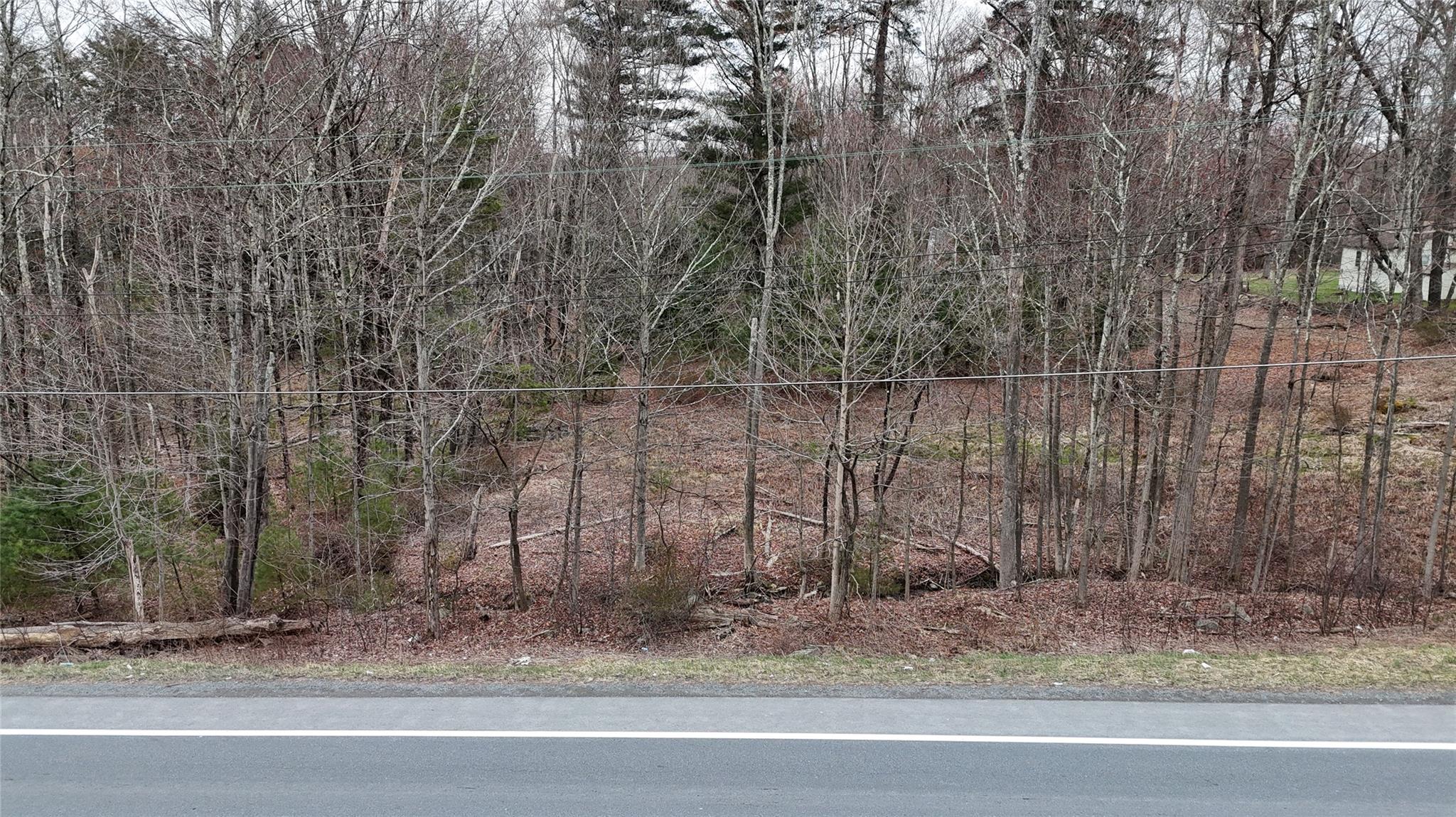 Rt-42, South Fallsburg, New York image 9