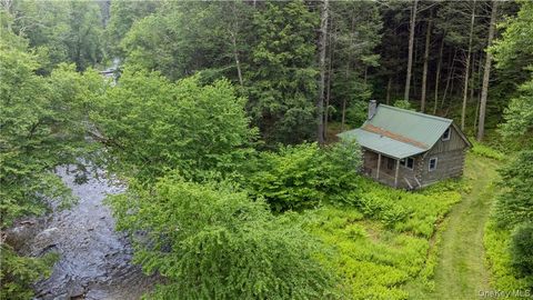 56 Saw Mill Road Claryville NY 12725