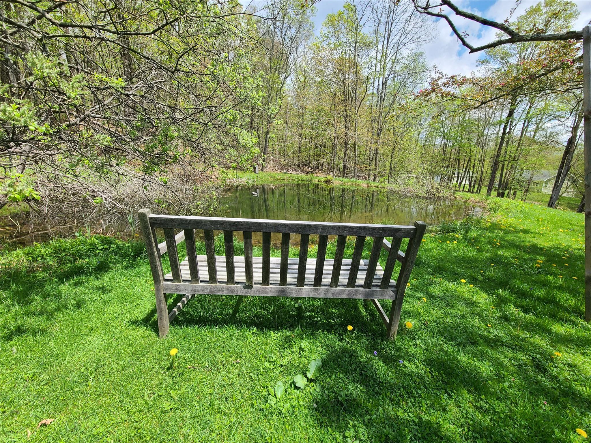 223 Church Road, Livingston Manor, New York image 5