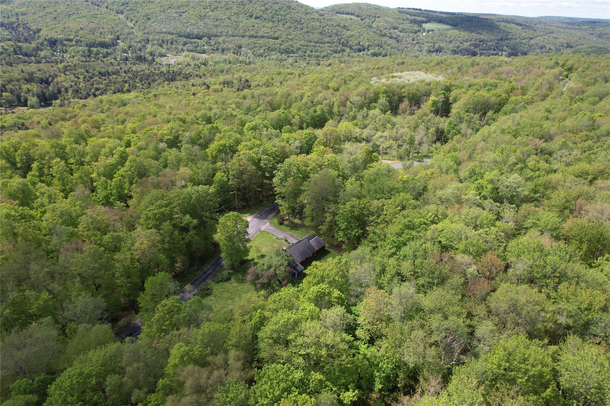 223 Church Road, Livingston Manor, New York image 42