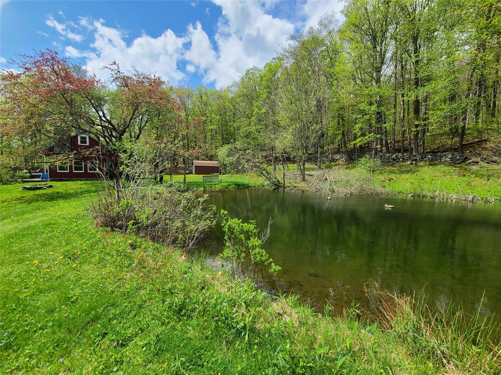 223 Church Road, Livingston Manor, New York image 35