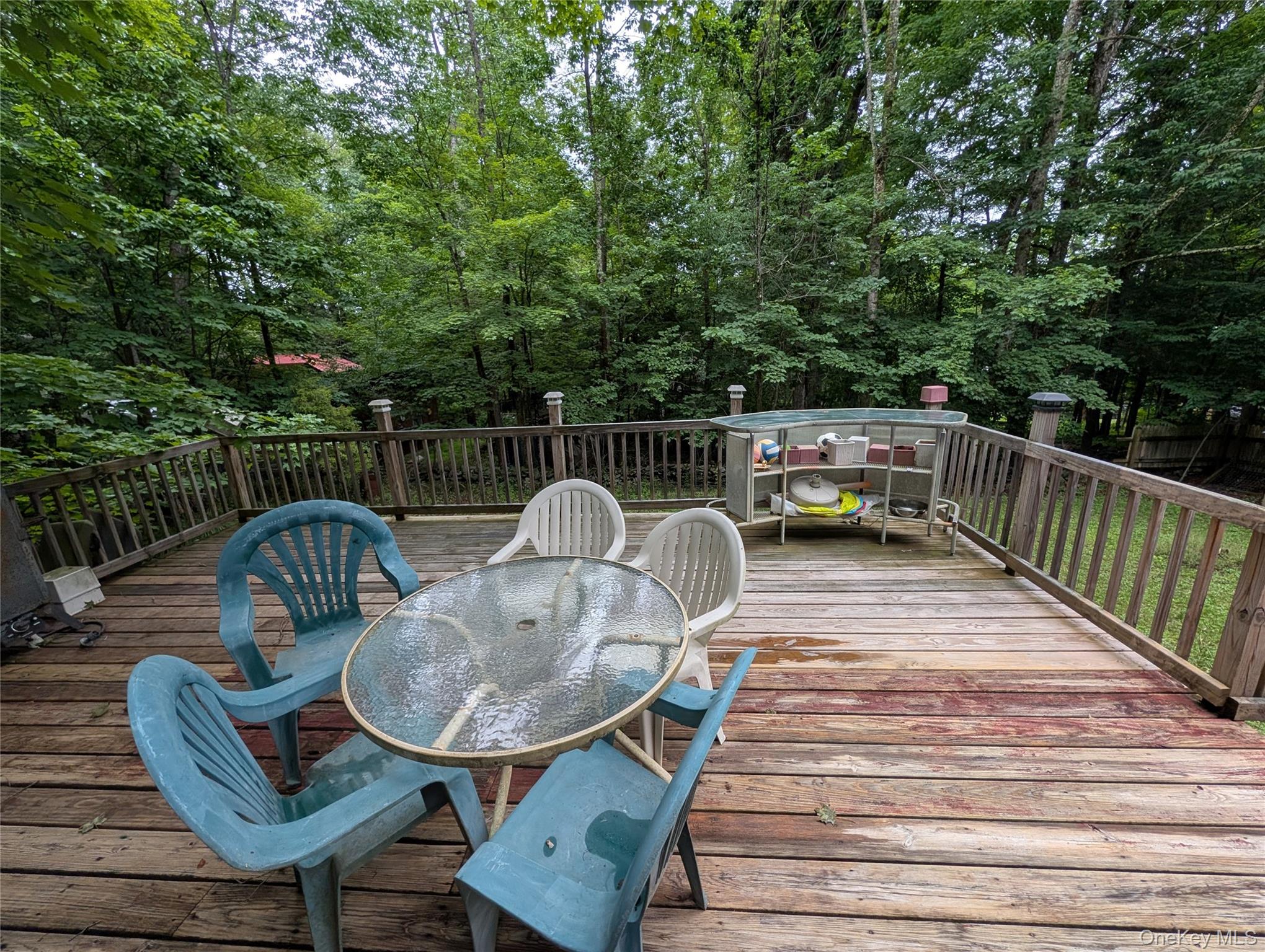 55 E Reindeer Trail