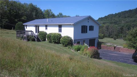 989 Lenape Lake Road Livingston Manor NY 12758