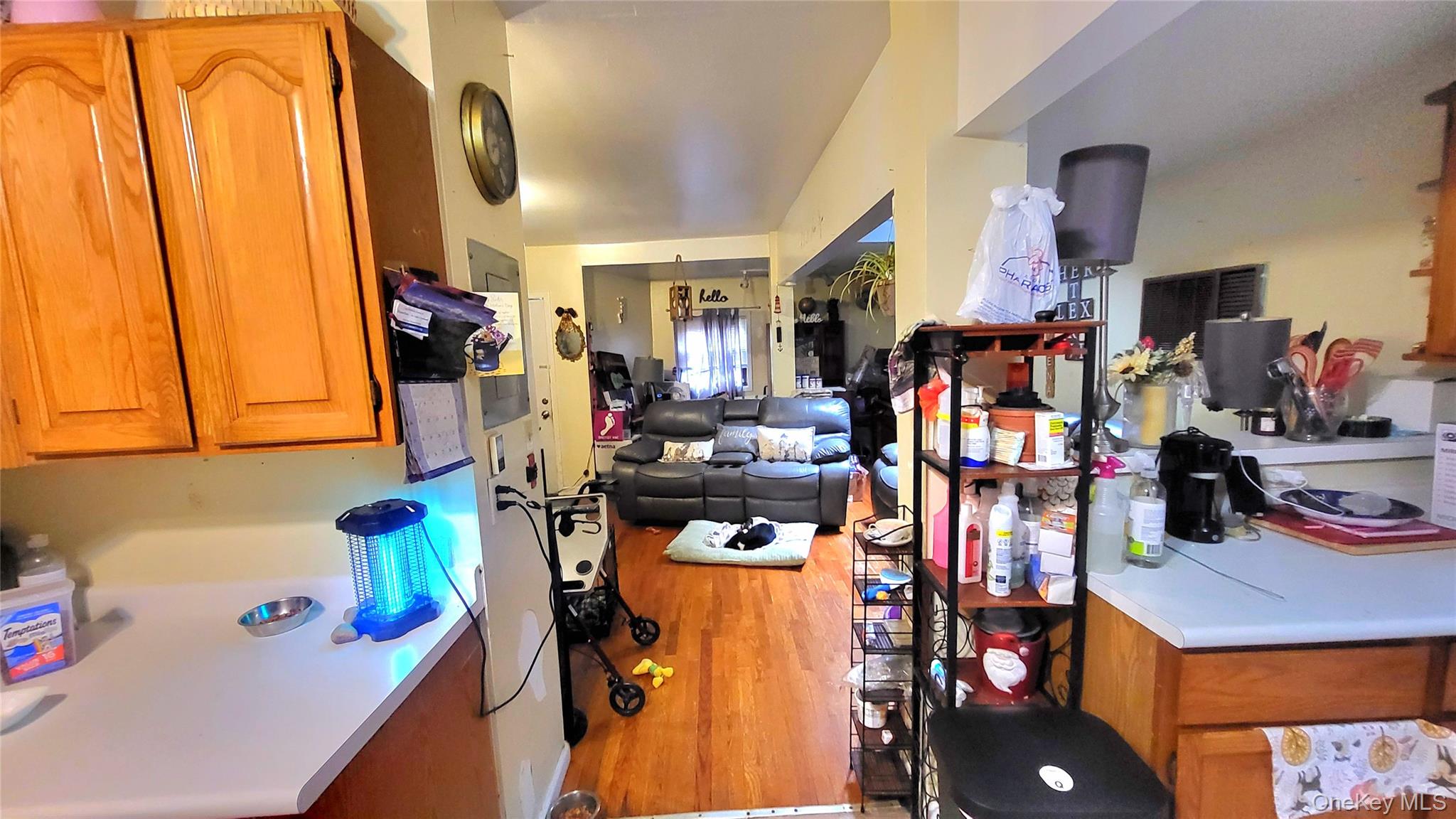 41 Conklin Street