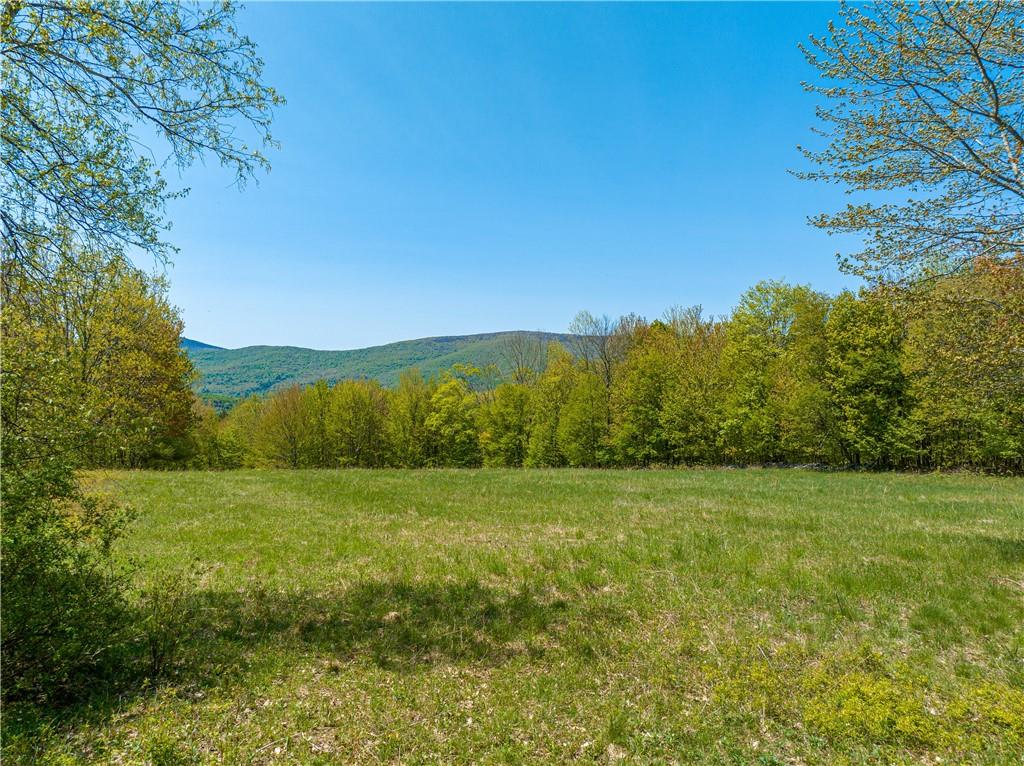 12 Armstrong Road, Arkville, New York image 17