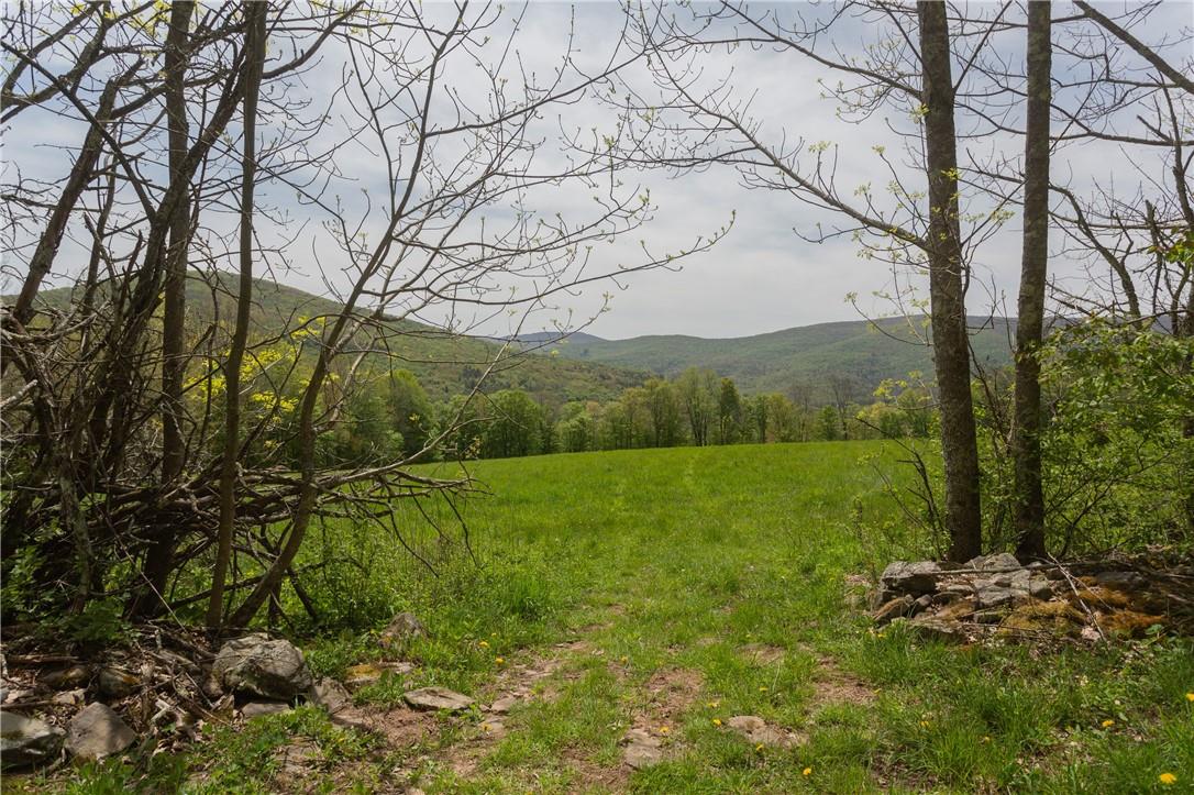 12 Armstrong Road, Arkville, New York image 12