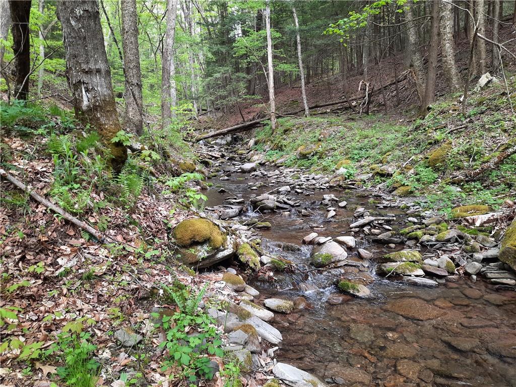 12 Armstrong Road, Arkville, New York image 14