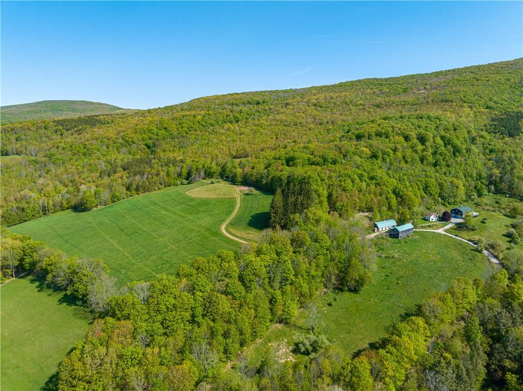 12 Armstrong Road, Arkville, New York image 2