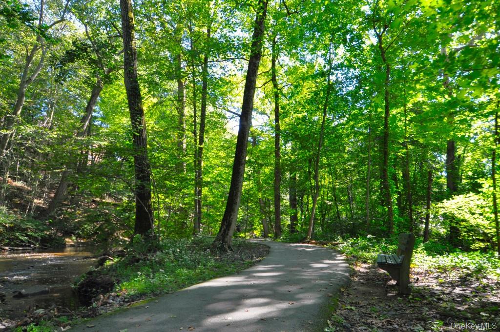 Scarsdale, New York 10583, United States, 1 Bedroom Bedrooms, ,1 BathroomBathrooms,Residential,Active,239614