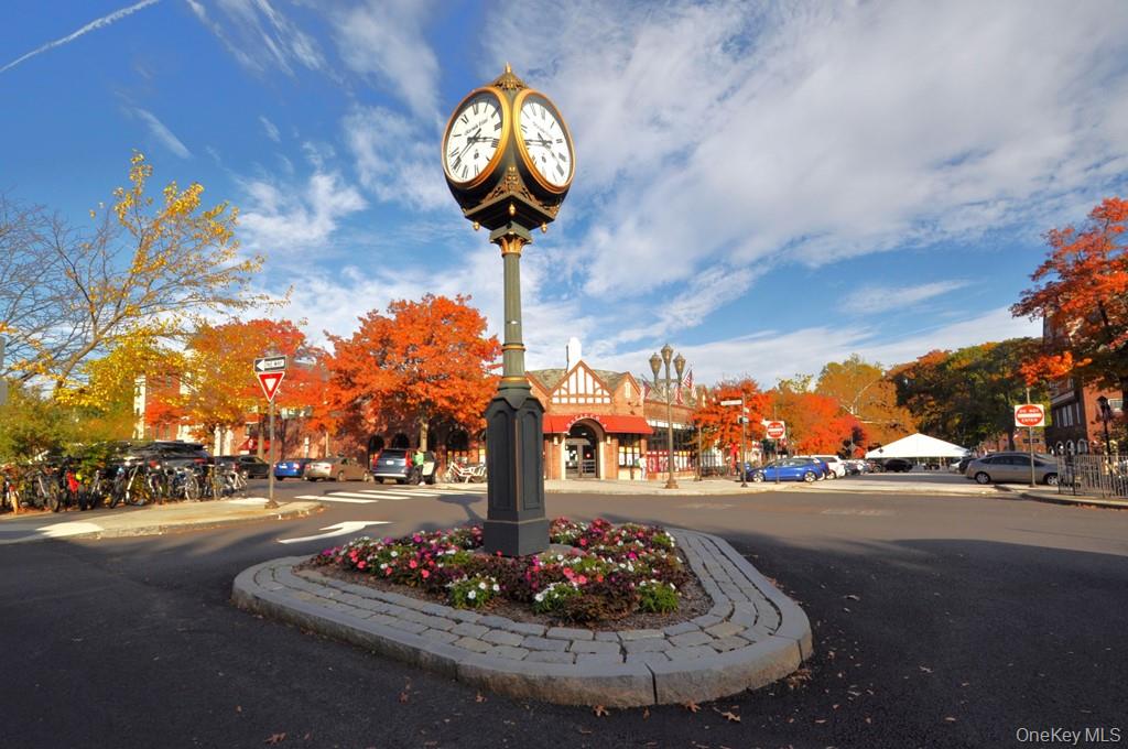 Scarsdale, New York 10583, United States, 1 Bedroom Bedrooms, ,1 BathroomBathrooms,Residential,Active,239614