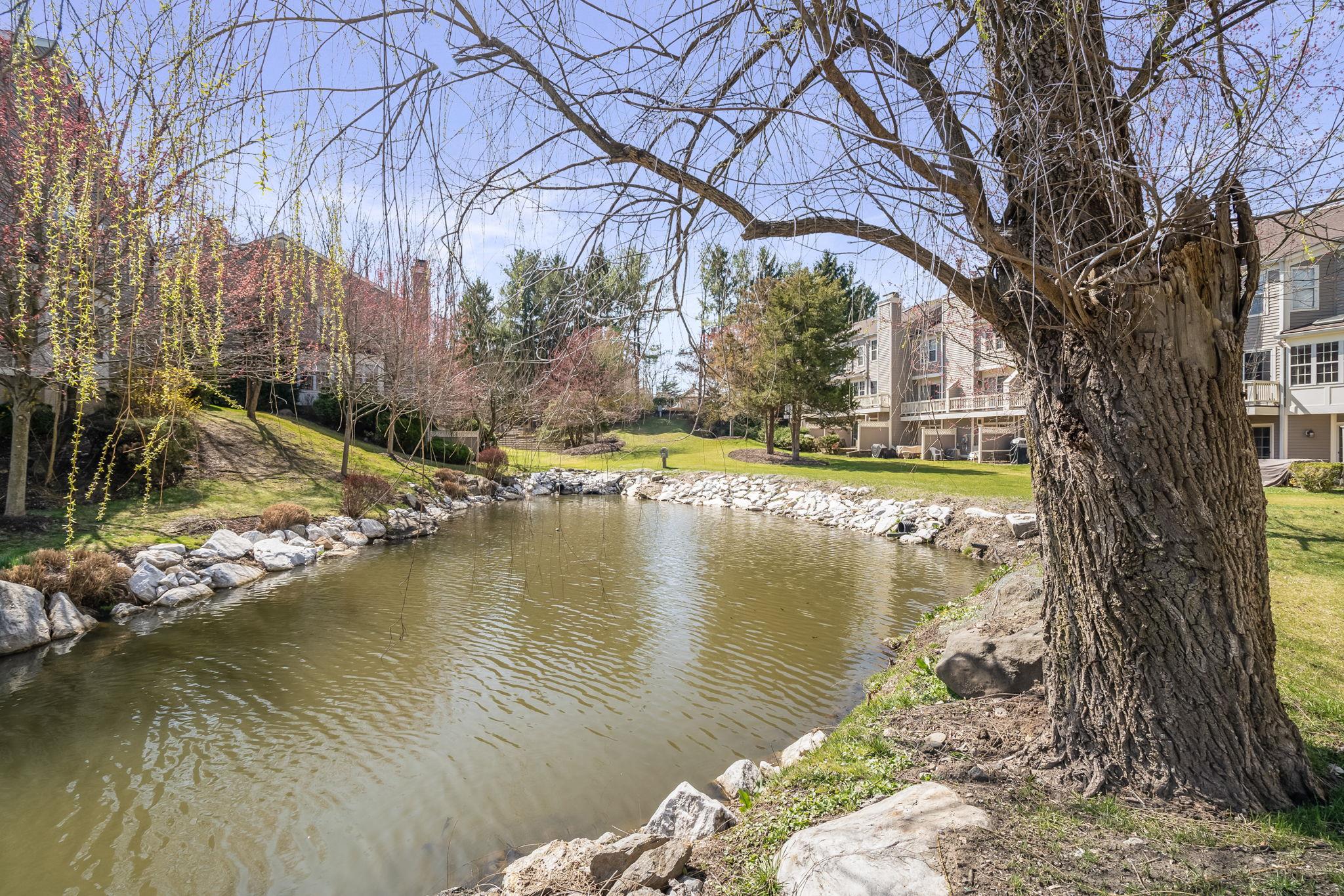 301 Pondside Drive, White Plains, New York image 29