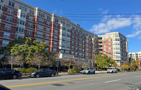 300 Mamaroneck Avenue #819 White Plains NY 10605