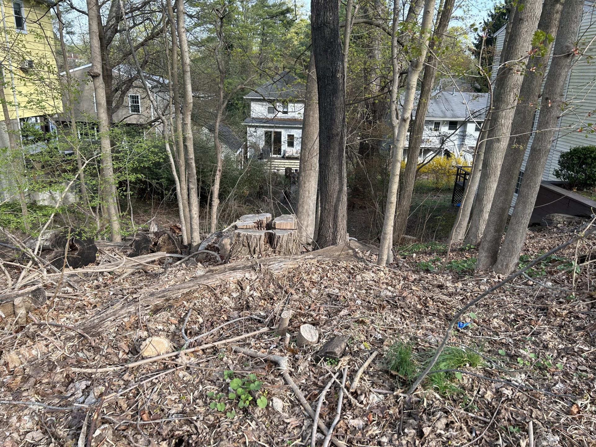 85 Sarles Lane, Pleasantville, New York image 1