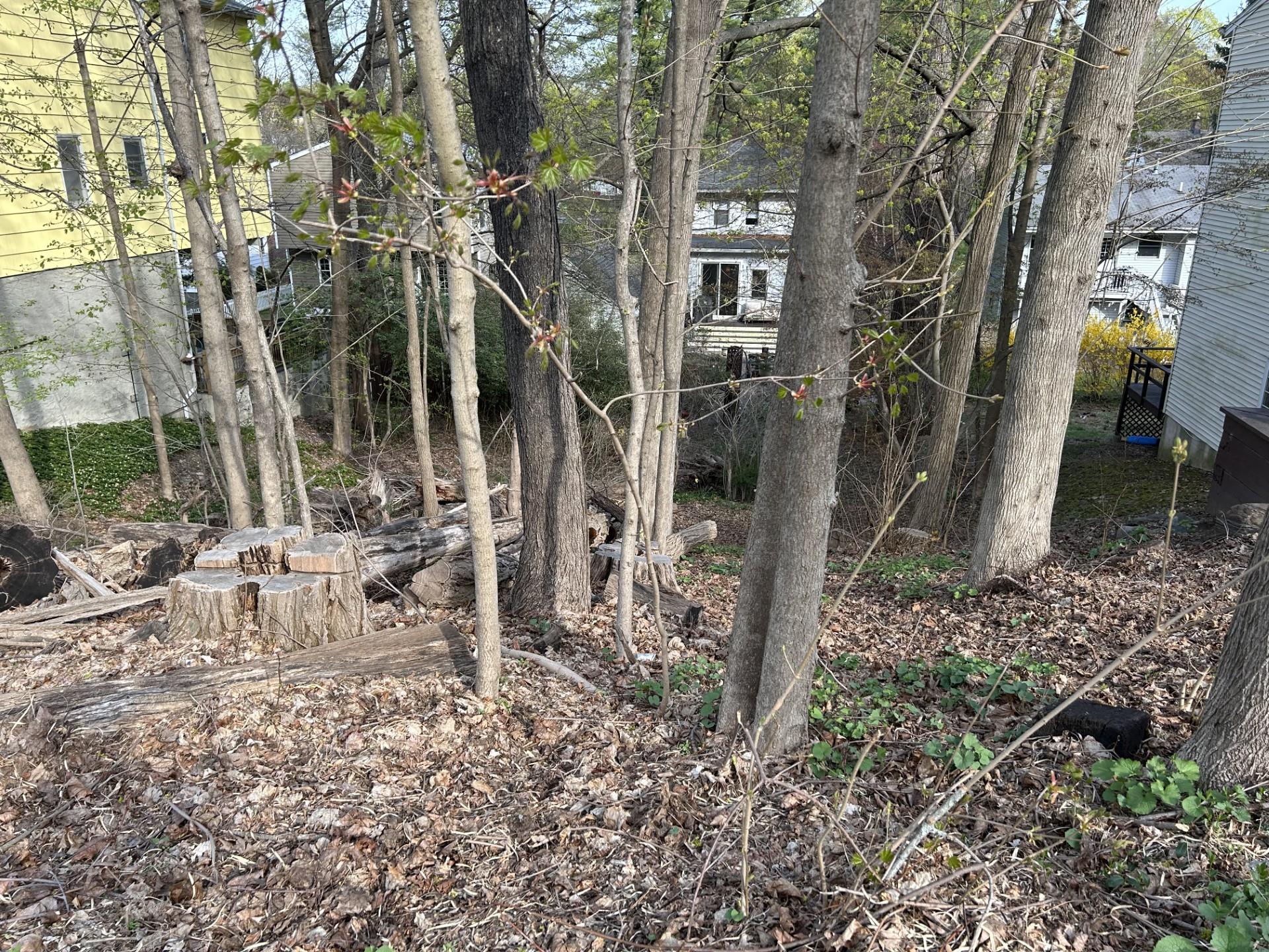 85 Sarles Lane, Pleasantville, New York image 3