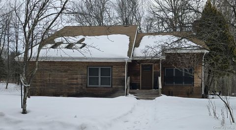 Homes For Rent - 537 Old Tacy Road<br/> Swan Lake, NY 12783