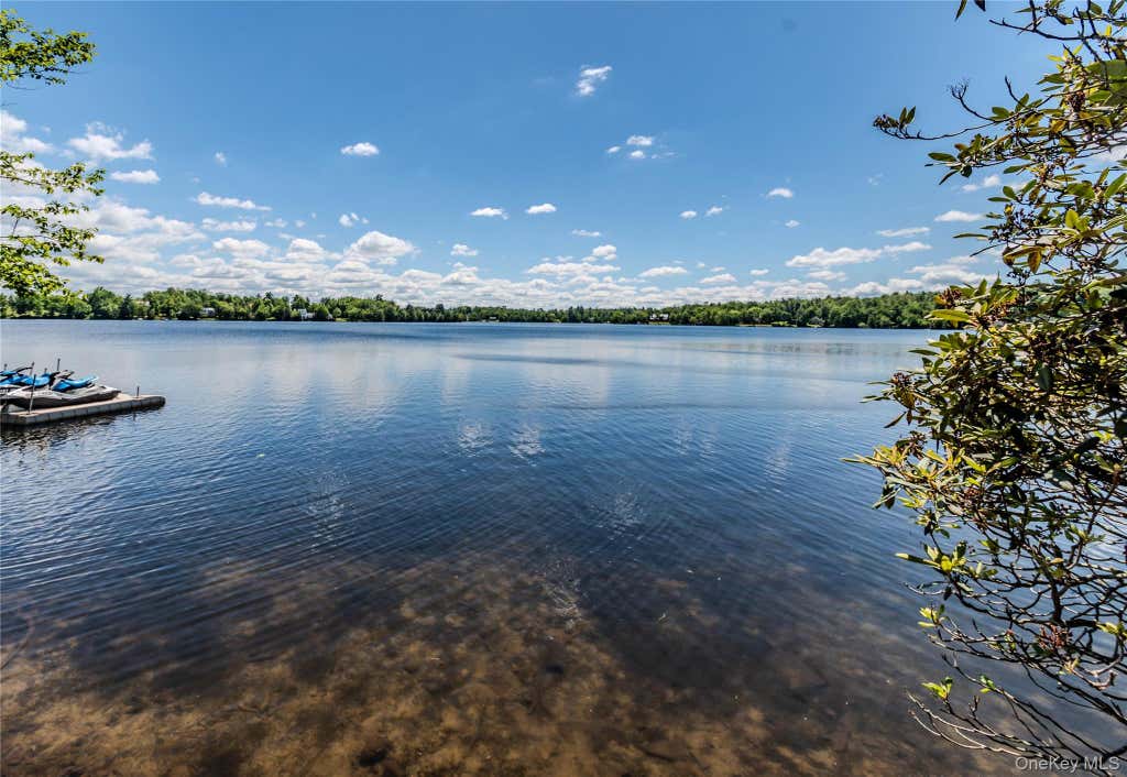 Photo of 4154 West Shore Drive, Bethel, NY 12786 (MLS # 1015285)