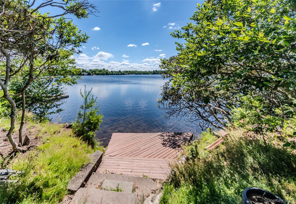 Photo of 4154 West Shore Drive, Bethel, NY 12786 (MLS # 1015285)