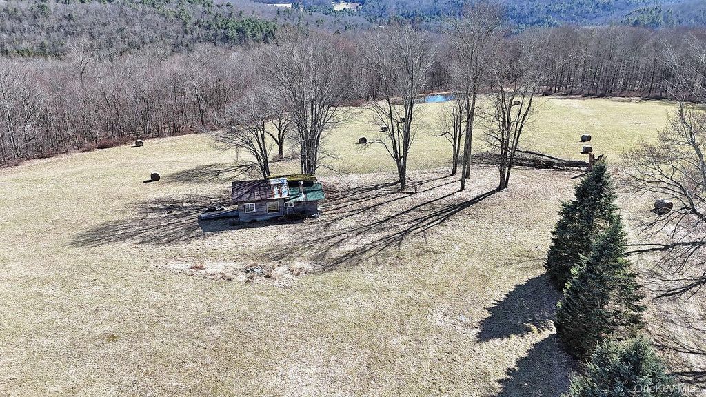 Photo of 57 Boettger Road, Callicoon, NY 12723 (MLS # 975389)