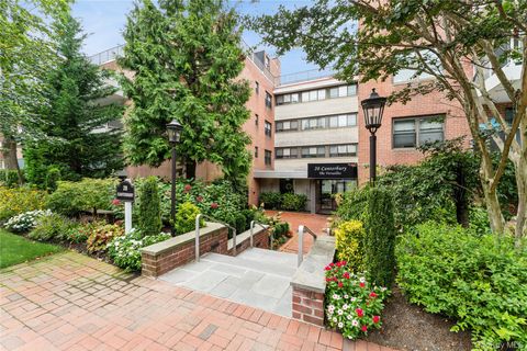 20 Canterbury Road 2F Great Neck NY 11021