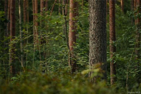 Melzingah Rsvr Road Beacon NY 12508