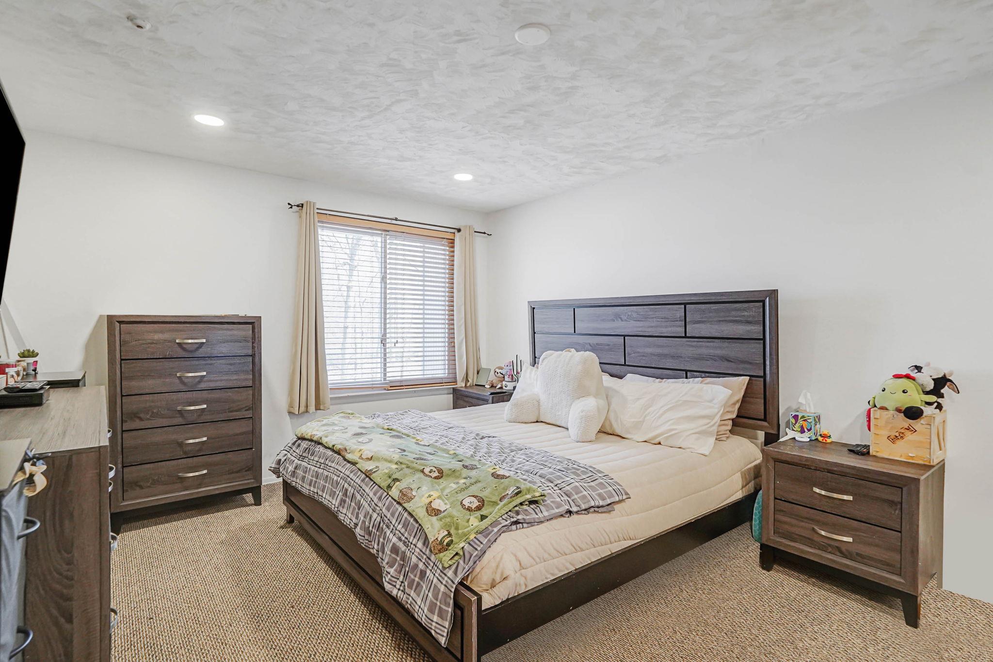 6 Birchwood Drive #6, Port Jefferson Station, New York image 16