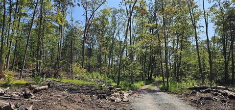 Vacant Land For Sale - LOT 8.1 Eckes Road<br/> Narrowsburg, NY 12764