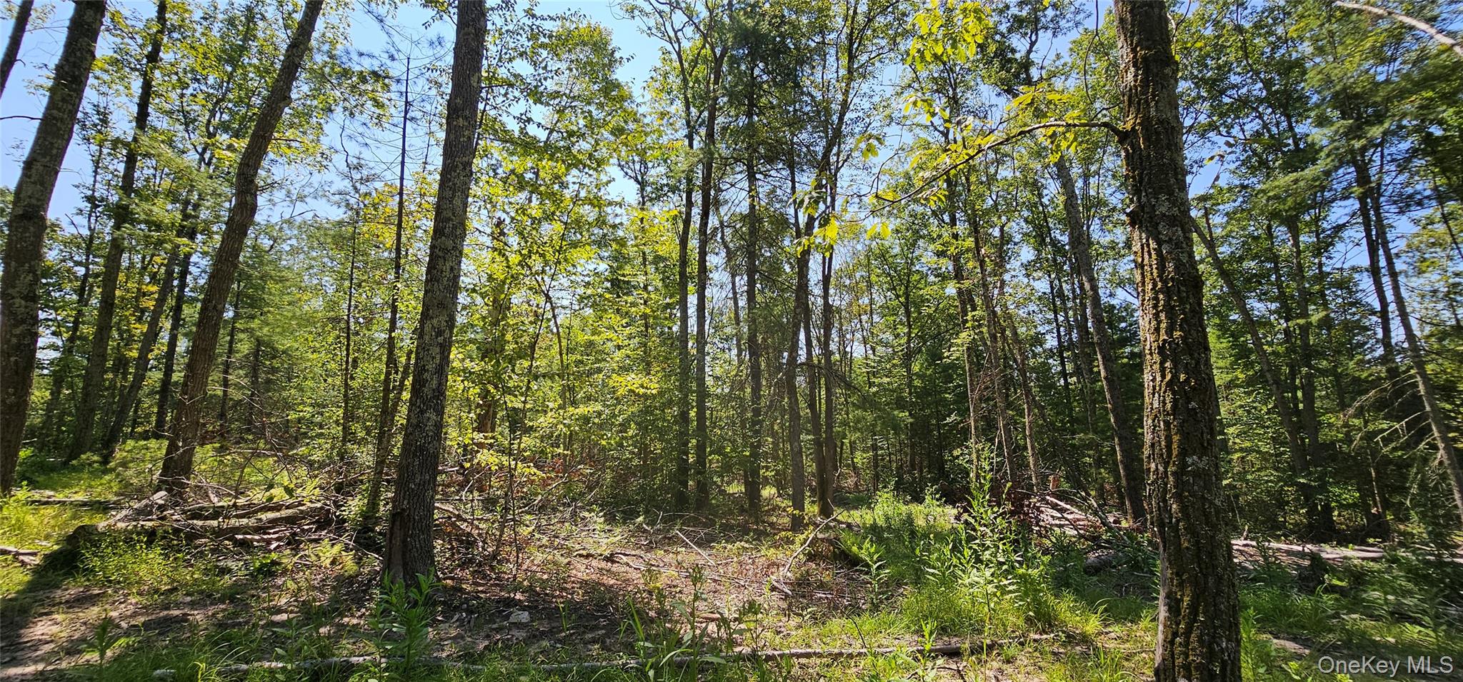 Lot 8.1 Eckes Road