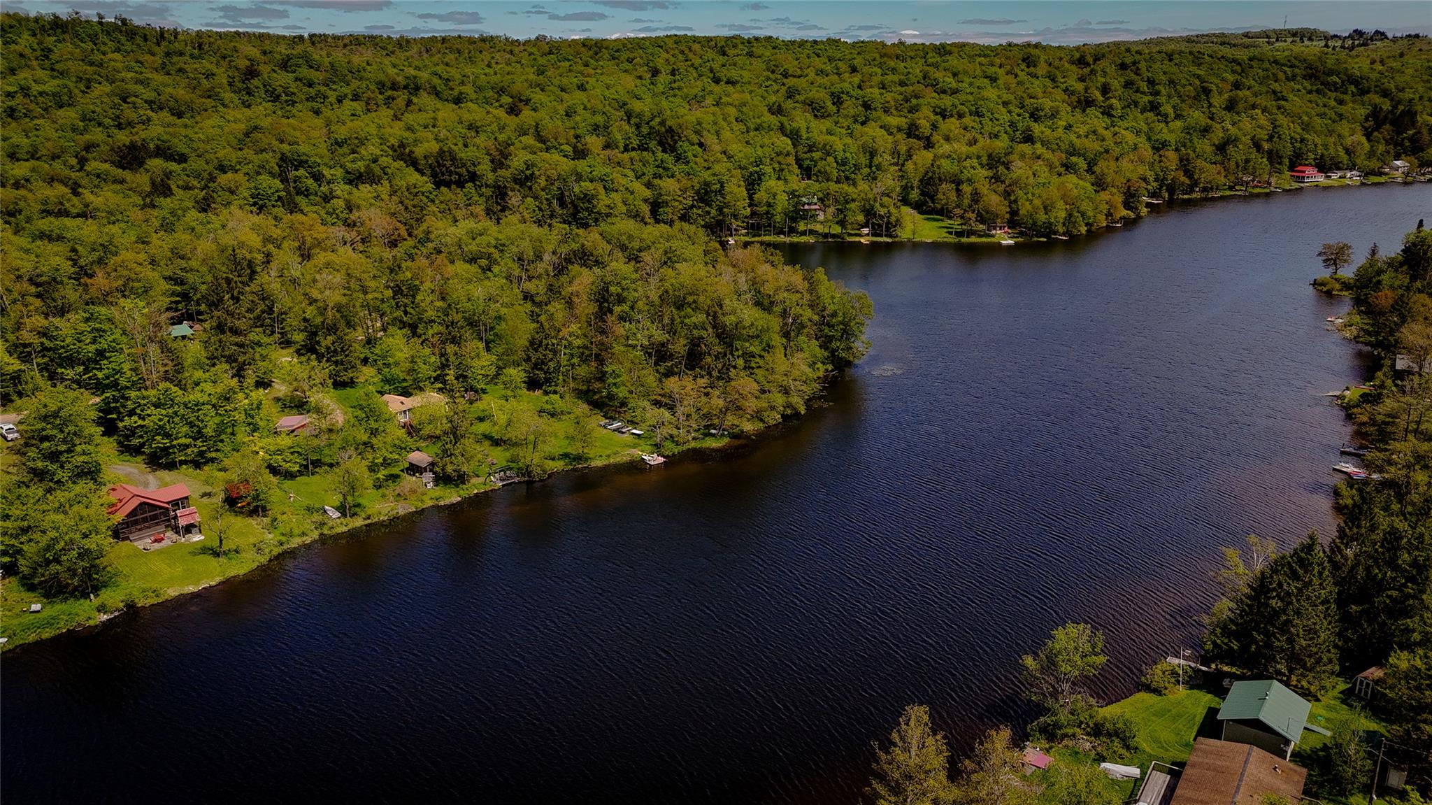 110 Lake Muskoday Road, Roscoe, New York image 3
