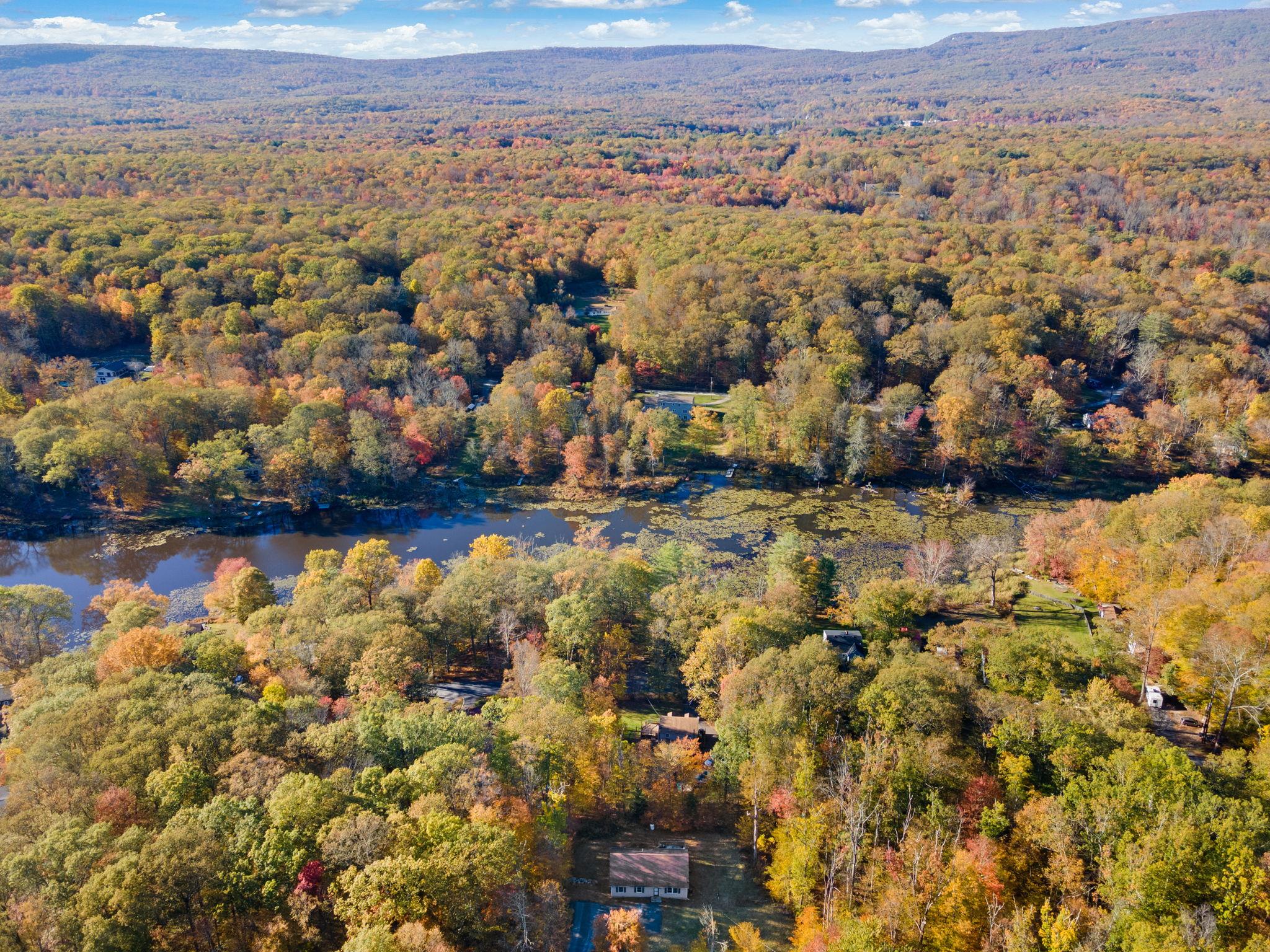 647 Lakewood Road, Pine Bush, New York image 3