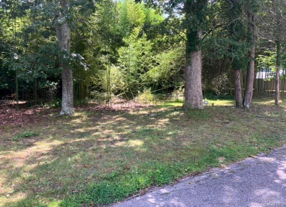 Park Drive, Mastic Beach, New York image 3