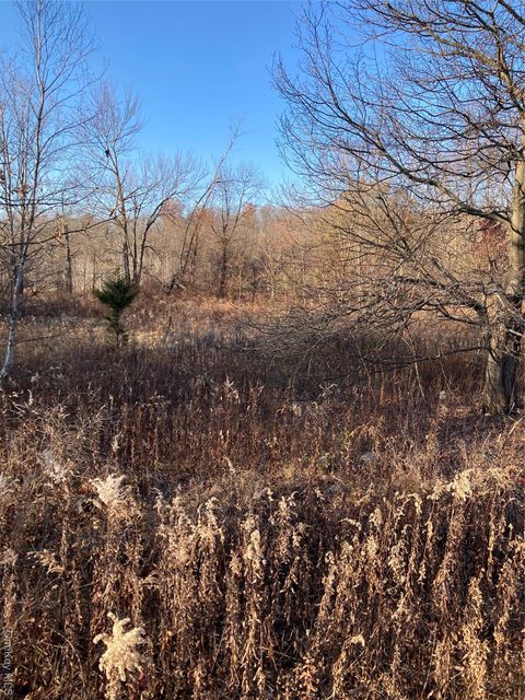 Vacant Land For Sale - POCATELLO ROAD Pocatello Road<br/> Middletown, NY 12566