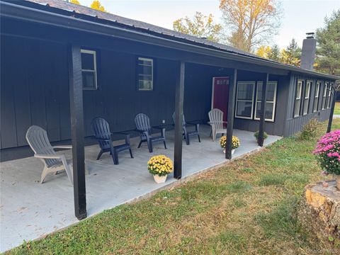 273 Blind Pond Road Narrowsburg NY 12764