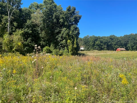 Tiny photo for 81-85 Fraleigh Hill Road, Millbrook, NY 12545 (MLS # 1048609)