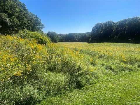 Tiny photo for 81-85 Fraleigh Hill Road, Millbrook, NY 12545 (MLS # 1048609)
