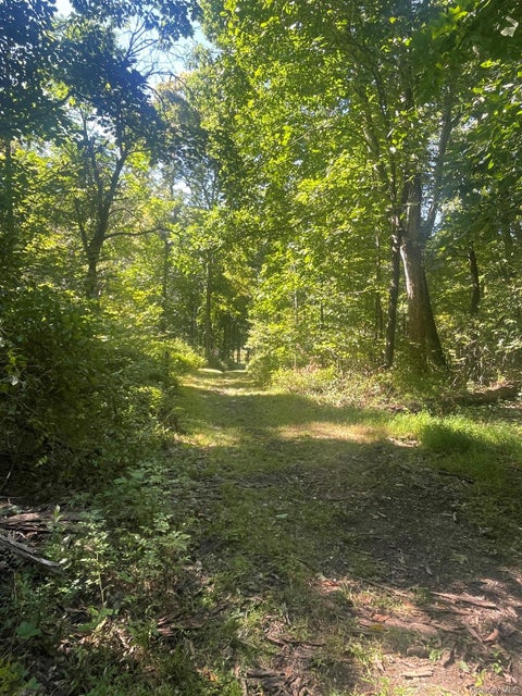 Tiny photo for 81-85 Fraleigh Hill Road, Millbrook, NY 12545 (MLS # 1048609)