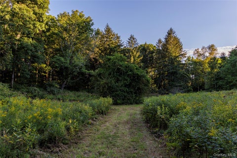 Tiny photo for 81-85 Fraleigh Hill Road, Millbrook, NY 12545 (MLS # 1048609)