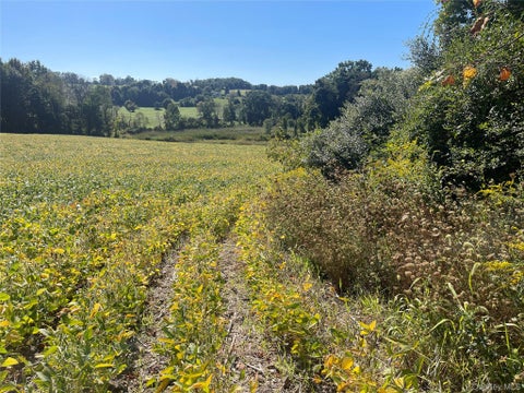 Tiny photo for 81-85 Fraleigh Hill Road, Millbrook, NY 12545 (MLS # 1048609)