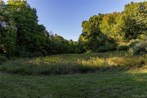 Tiny photo for 81-85 Fraleigh Hill Road, Millbrook, NY 12545 (MLS # 1048609)