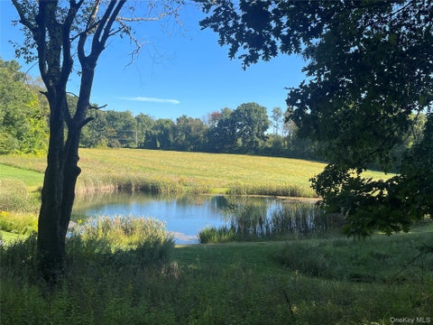 Tiny photo for 81-85 Fraleigh Hill Road, Millbrook, NY 12545 (MLS # 1048609)