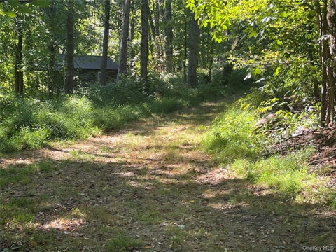 Tiny photo for 81-85 Fraleigh Hill Road, Millbrook, NY 12545 (MLS # 1048609)