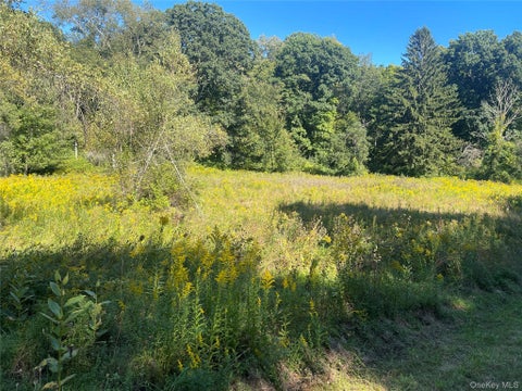 Tiny photo for 81-85 Fraleigh Hill Road, Millbrook, NY 12545 (MLS # 1048609)