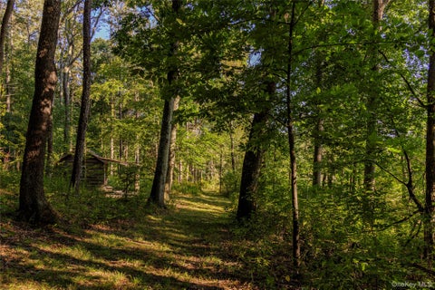 Tiny photo for 81-85 Fraleigh Hill Road, Millbrook, NY 12545 (MLS # 1048609)