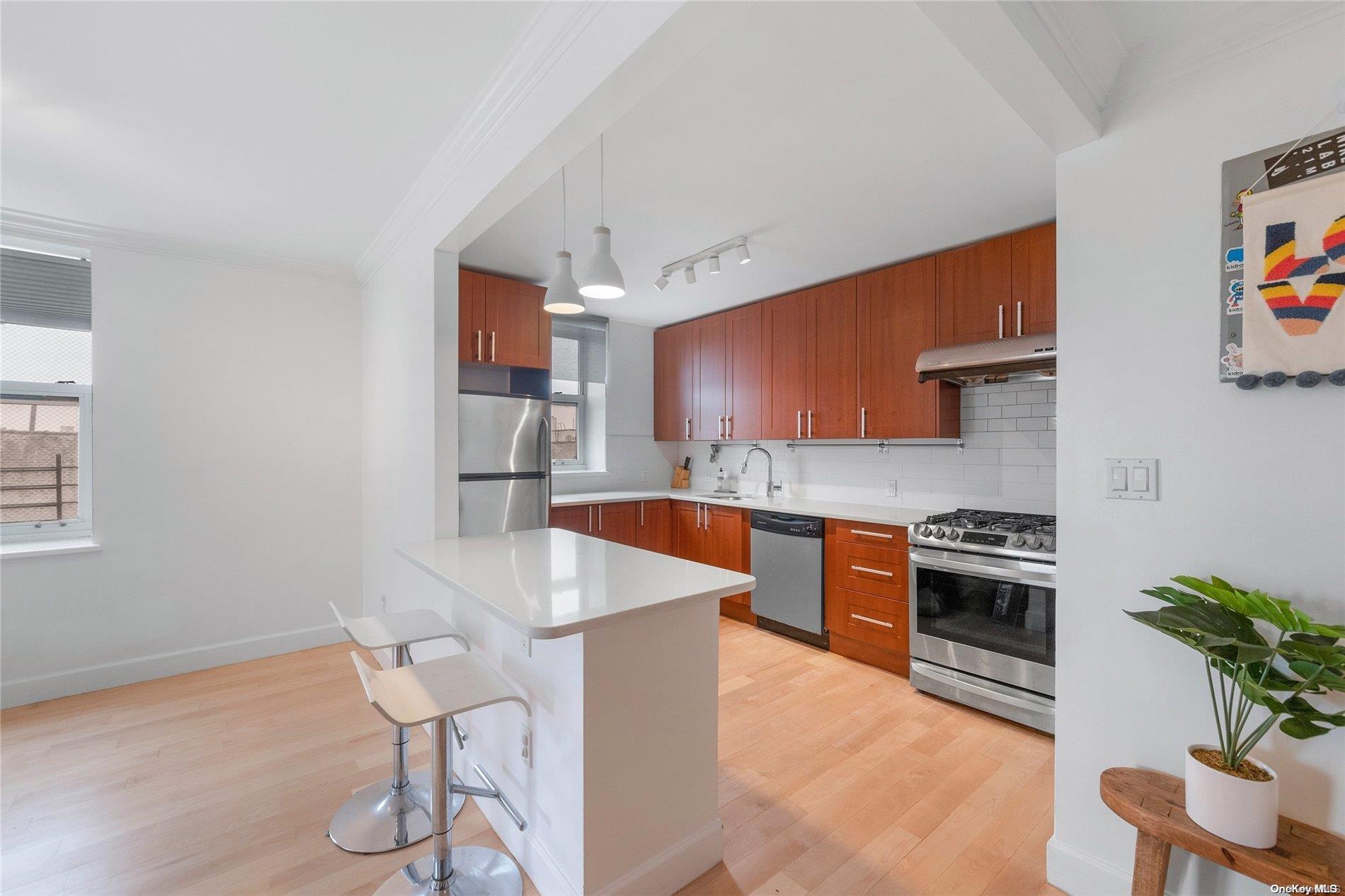 1379 W 6th Street #5C, Brooklyn, New York image 3