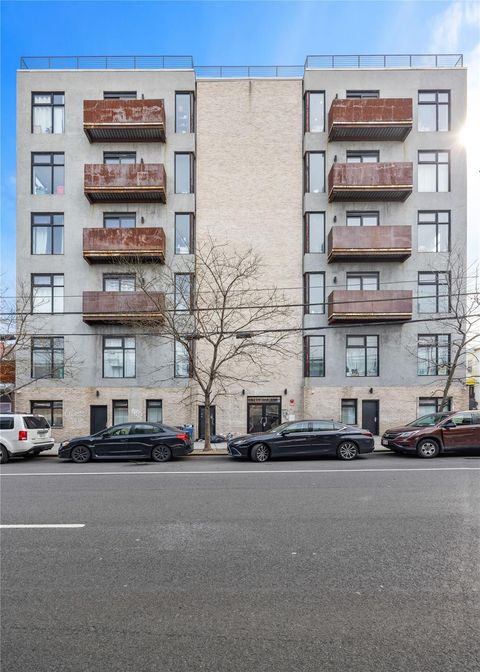 313 52nd Street Brooklyn NY 11220