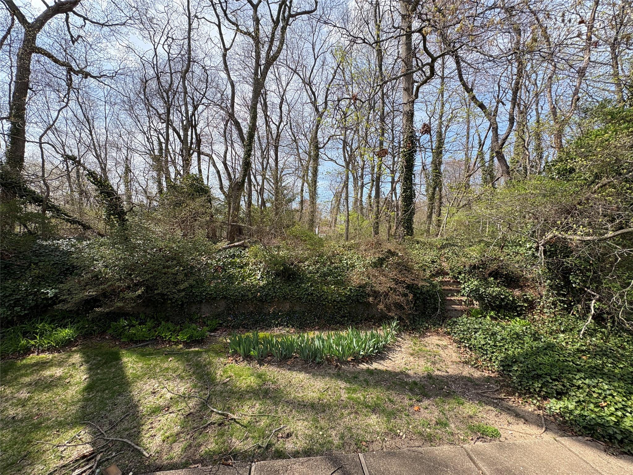 15 Stern Court, Huntington Station, New York image 6
